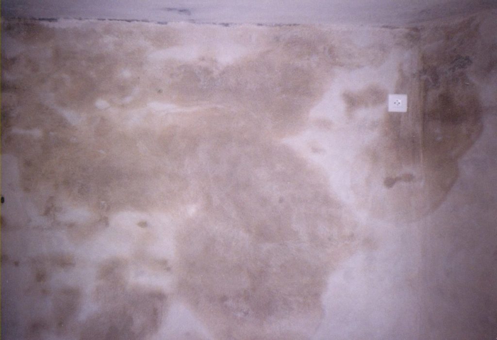 Chantal. Chantier de rénovation 1, l’appartement, Dijon, 1998