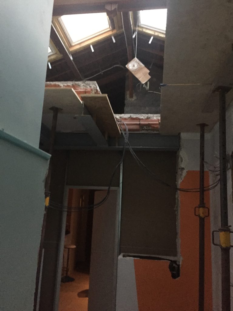 Duplex Lyon 7ème. Habitant